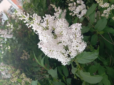 Кадр Наталья🌻