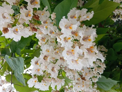 Кадр Наталья🌻