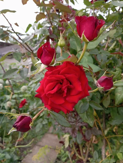 Кадр Наталья🌻