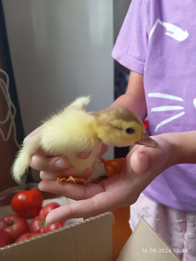 Кадр Наталья🌻