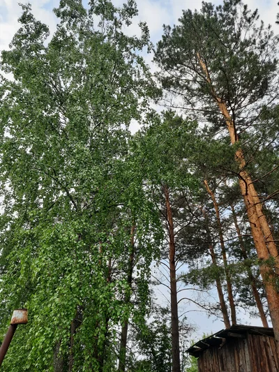 Кадр Ангелина