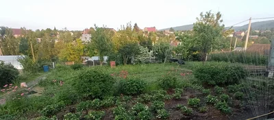 Кадр Evgeniy