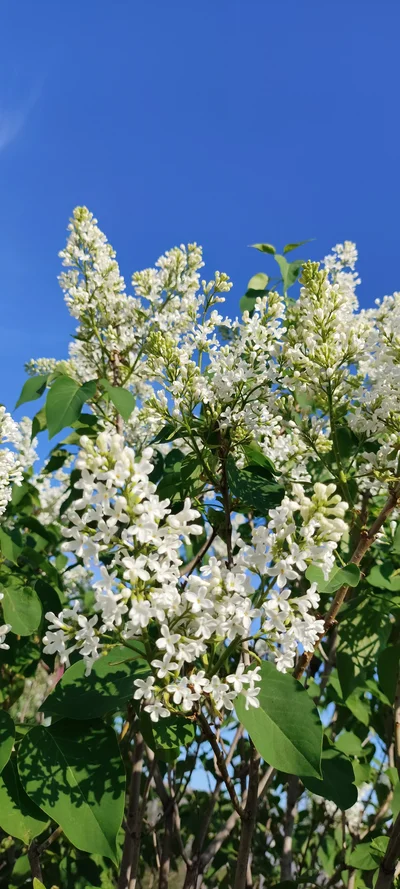 Кадр Илья Чаус